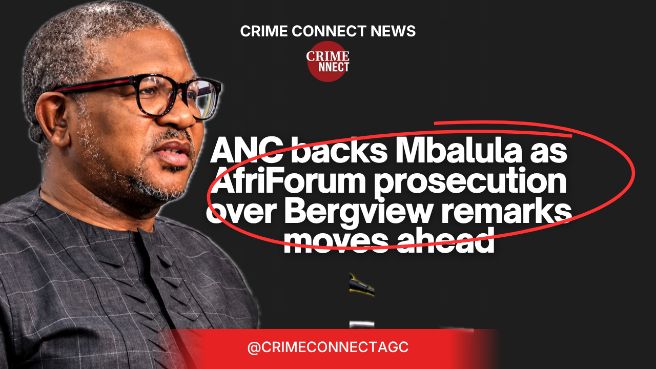 ANC backs Mbalula as AfriForum prosecution over Bergview remarks moves ahead